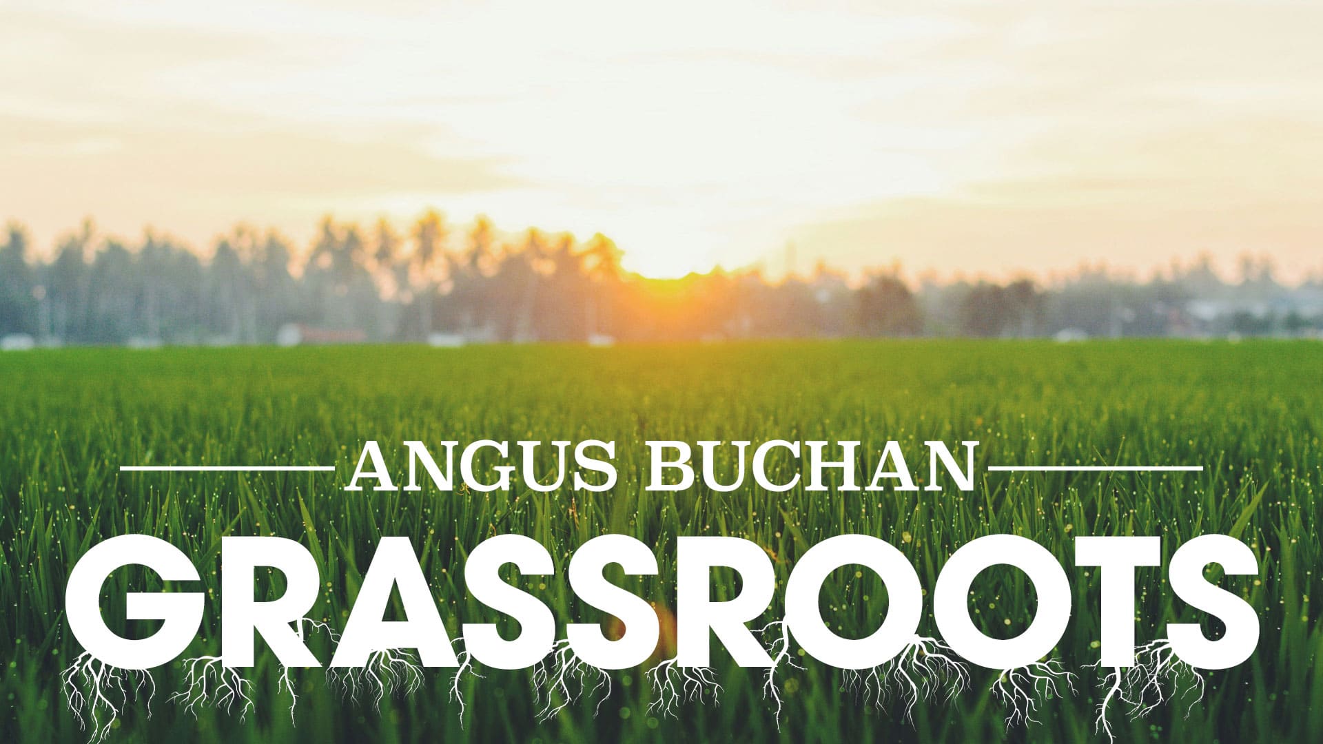 Angus Buchan - Grass Roots